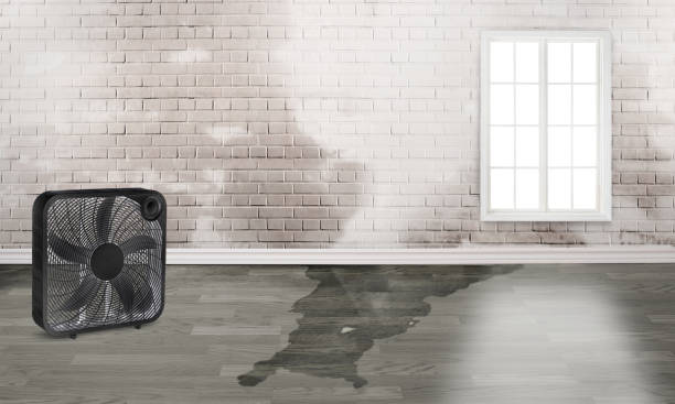 Best Flood restoration services  in Jenks, OK