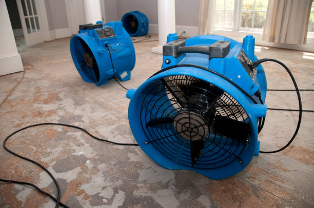 Best Ceiling water damage repair  in Jenks, OK
