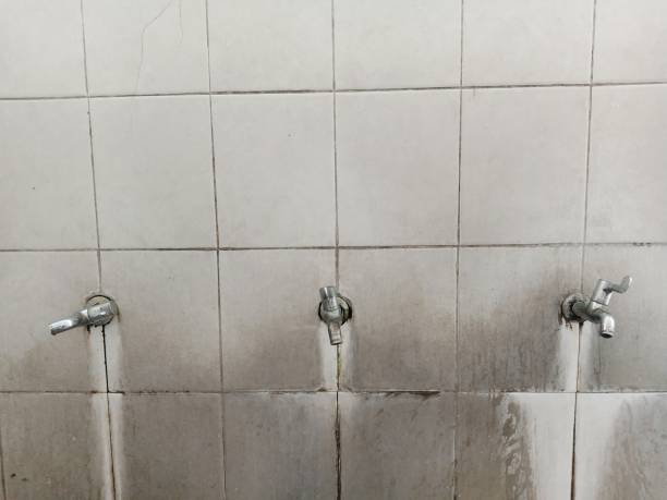 Best Professional water damage repair  in Jenks, OK