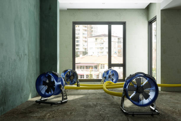 Best Water damage restoration insurance claims  in Jenks, OK